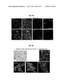 METHODS FOR GENERATION OF PLURIPOTENT AND MULTIPOTENT CELLS diagram and image
