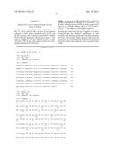 MUTATED FIBROBLAST GROWTH FACTOR (FGF) 1 AND METHODS OF USE diagram and image