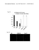 CELLULAR APOBEC3 PROTEINS AND MODULATORS THEREOF FOR REGULATING DNA REPAIR     PROCESSES AND TREATING PROLIFERATIVE DISEASES diagram and image