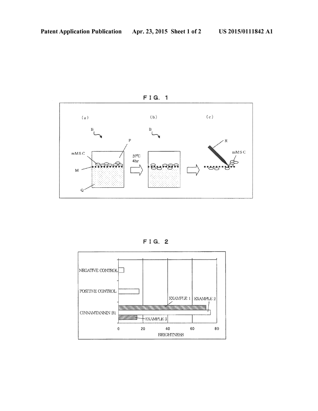 ATTRACTANT FOR BONE MARROW STEM CELLS AND METHOD FOR  ATTRACTING BONE     MARROW STEM CELLS - diagram, schematic, and image 02