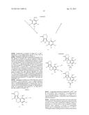 ISOINDOLONE DERIVATIVES diagram and image