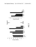 J-SERIES PROSTAGLANDIN-ETHANOLAMIDES AS NOVEL THERAPEUTICS diagram and image