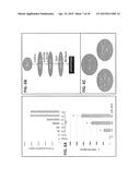 J-SERIES PROSTAGLANDIN-ETHANOLAMIDES AS NOVEL THERAPEUTICS diagram and image