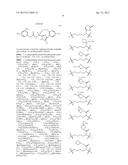 MACROCYCLES AS FACTOR XIA INHIBITORS diagram and image