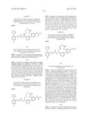 MACROCYCLES AS FACTOR XIA INHIBITORS diagram and image