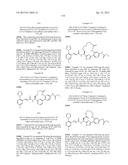 MACROCYCLES AS FACTOR XIA INHIBITORS diagram and image