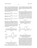 MACROCYCLES AS FACTOR XIA INHIBITORS diagram and image