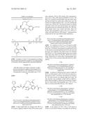 MACROCYCLES AS FACTOR XIA INHIBITORS diagram and image