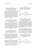 MACROCYCLES AS FACTOR XIA INHIBITORS diagram and image