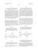 MACROCYCLES AS FACTOR XIA INHIBITORS diagram and image