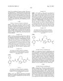 MACROCYCLES AS FACTOR XIA INHIBITORS diagram and image