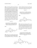 MACROCYCLES AS FACTOR XIA INHIBITORS diagram and image