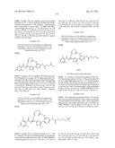 MACROCYCLES AS FACTOR XIA INHIBITORS diagram and image