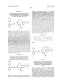 MACROCYCLES AS FACTOR XIA INHIBITORS diagram and image