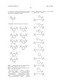 MACROCYCLES AS FACTOR XIA INHIBITORS diagram and image