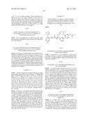 MACROCYCLES AS FACTOR XIA INHIBITORS diagram and image