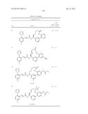 MACROCYCLES AS FACTOR XIA INHIBITORS diagram and image