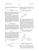 MACROCYCLES AS FACTOR XIA INHIBITORS diagram and image