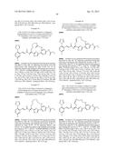 MACROCYCLES AS FACTOR XIA INHIBITORS diagram and image