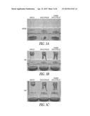 METHODS OF HYDROLYZING PRETREATED DENSIFIED BIOMASS PARTICULATES AND     SYSTEMS RELATED THERETO diagram and image