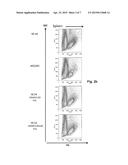 POLYNUCLEOTIDES ENCODING RODENT ANTIBODIES WITH HUMAN IDIOTYPES AND     ANIMALS COMPRISING SAME diagram and image