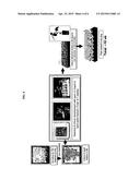 METHODS FOR PLANT TRANSFORMATION USING SPECTINOMYCIN SELECTION diagram and image