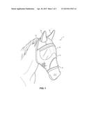 Horse Mask and Visor diagram and image
