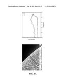 SILYLATED MESOPOROUS SILICA MEMBRANES ON POLYMERIC HOLLOW FIBER SUPPORTS diagram and image