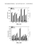 SILYLATED MESOPOROUS SILICA MEMBRANES ON POLYMERIC HOLLOW FIBER SUPPORTS diagram and image