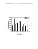 SILYLATED MESOPOROUS SILICA MEMBRANES ON POLYMERIC HOLLOW FIBER SUPPORTS diagram and image