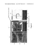 SAFETY EVENT ALERT SYSTEM AND METHOD diagram and image