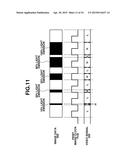 IMAGE FORMING APPARATUS diagram and image