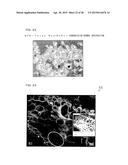 Microscopic Imaging Device, Microscopic Imaging Method, And Microscopic     Imaging Program diagram and image