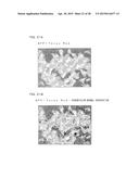 Microscopic Imaging Device, Microscopic Imaging Method, and Microscopic     Imaging Program diagram and image