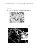 Microscopic Imaging Device, Microscopic Imaging Method, and Microscopic     Imaging Program diagram and image