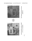 Regionlets with Shift Invariant Neural Patterns for Object Detection diagram and image