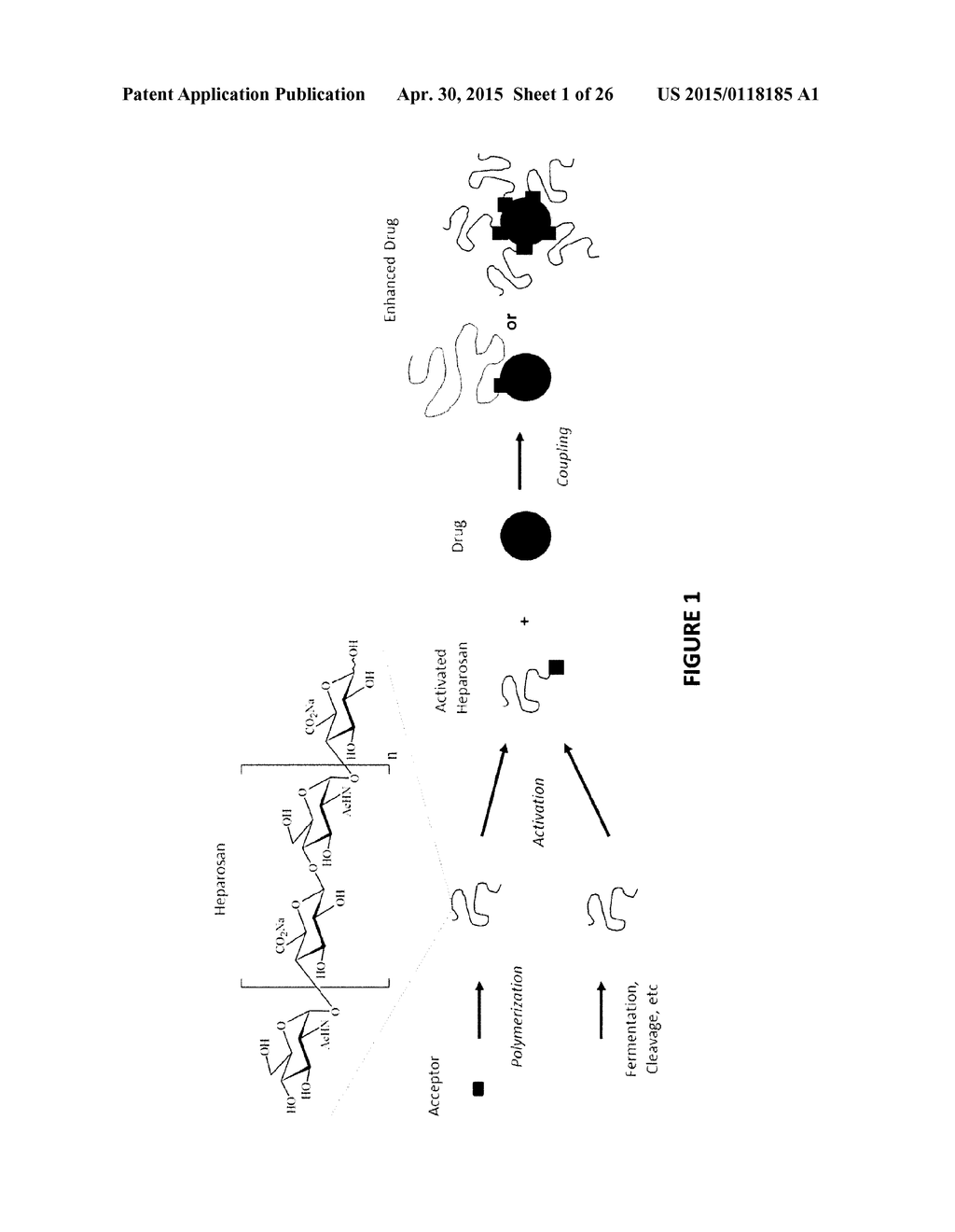 Heparosan-Polypeptide and Heparosan-Polynucleotide Drug Conjugates and     Methods of Making and Using Same - diagram, schematic, and image 02