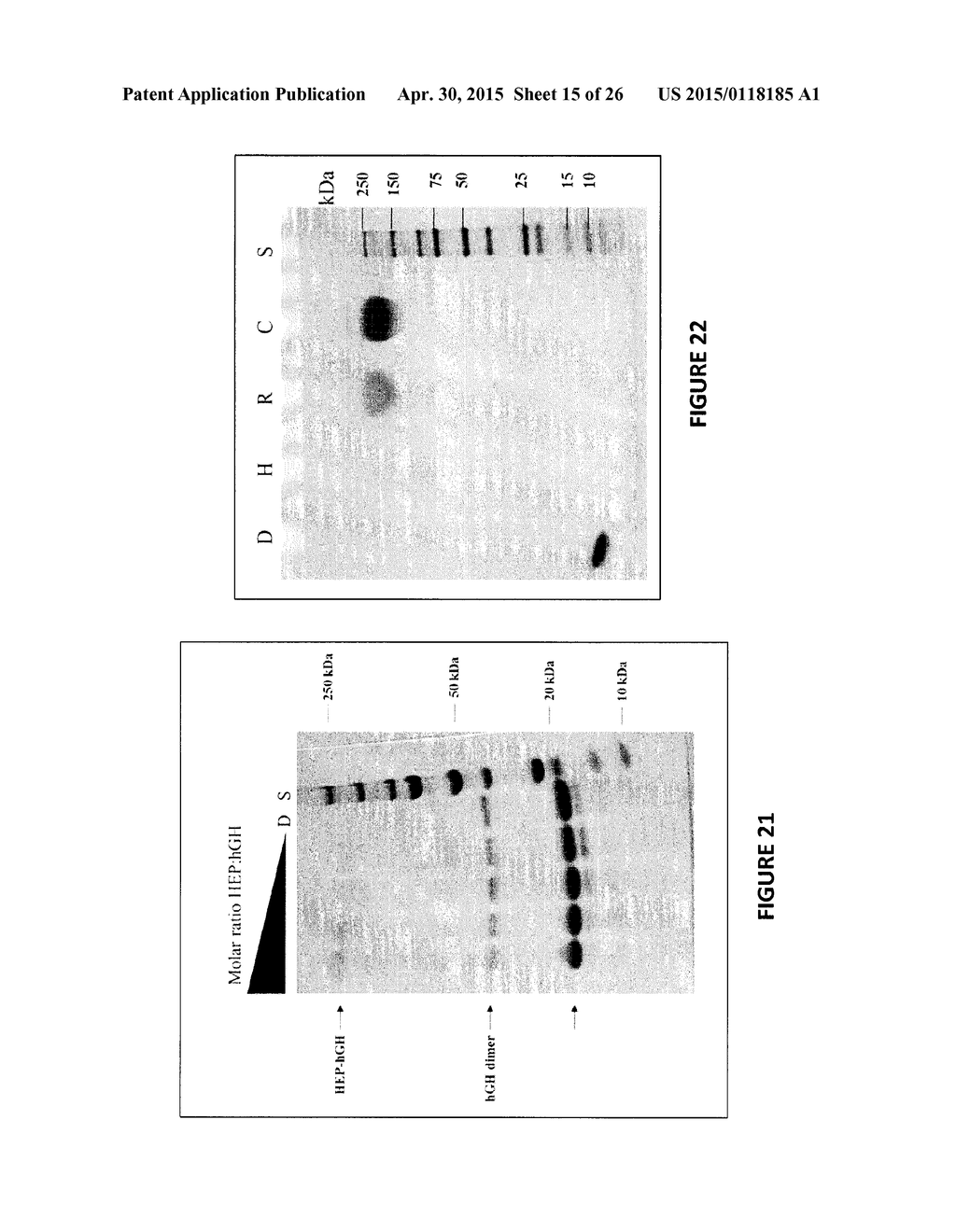 Heparosan-Polypeptide and Heparosan-Polynucleotide Drug Conjugates and     Methods of Making and Using Same - diagram, schematic, and image 16