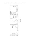 Heparosan-Polypeptide and Heparosan-Polynucleotide Drug Conjugates and     Methods of Making and Using Same diagram and image