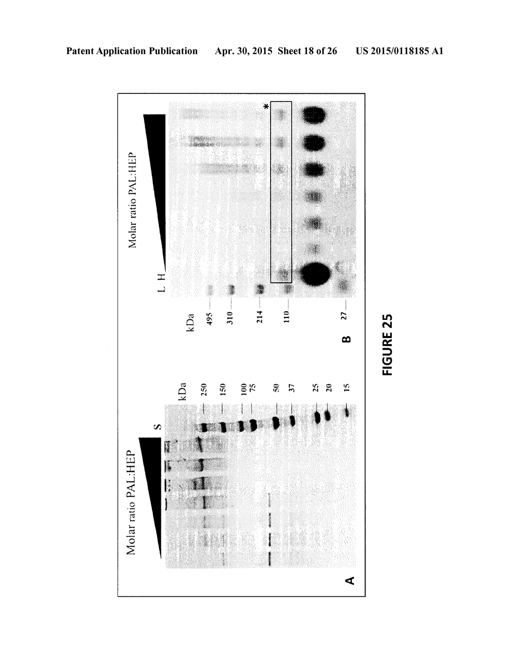 Heparosan-Polypeptide and Heparosan-Polynucleotide Drug Conjugates and     Methods of Making and Using Same - diagram, schematic, and image 19