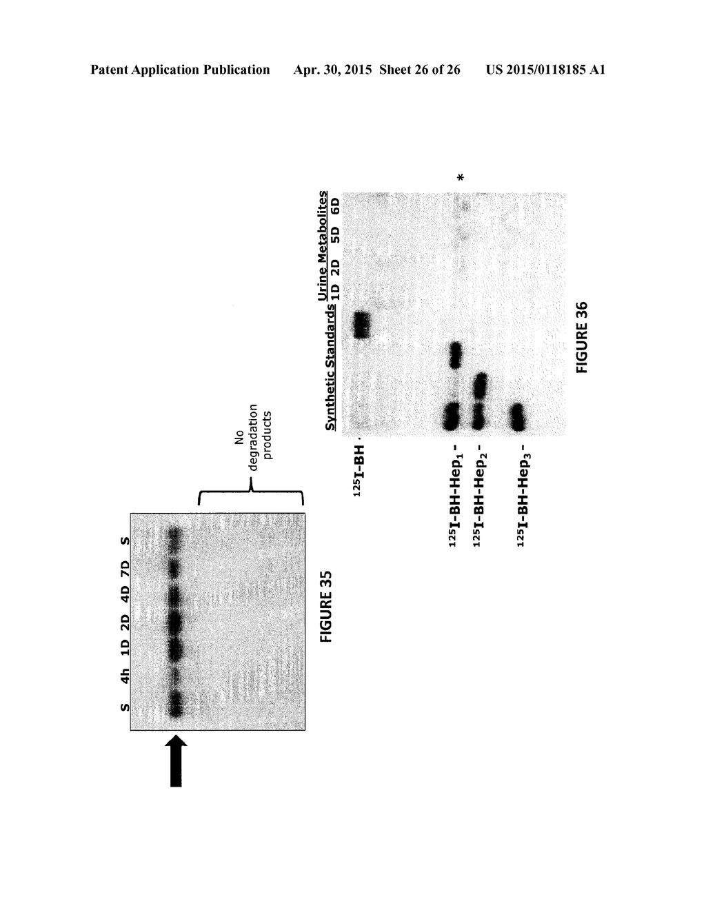 Heparosan-Polypeptide and Heparosan-Polynucleotide Drug Conjugates and     Methods of Making and Using Same - diagram, schematic, and image 27