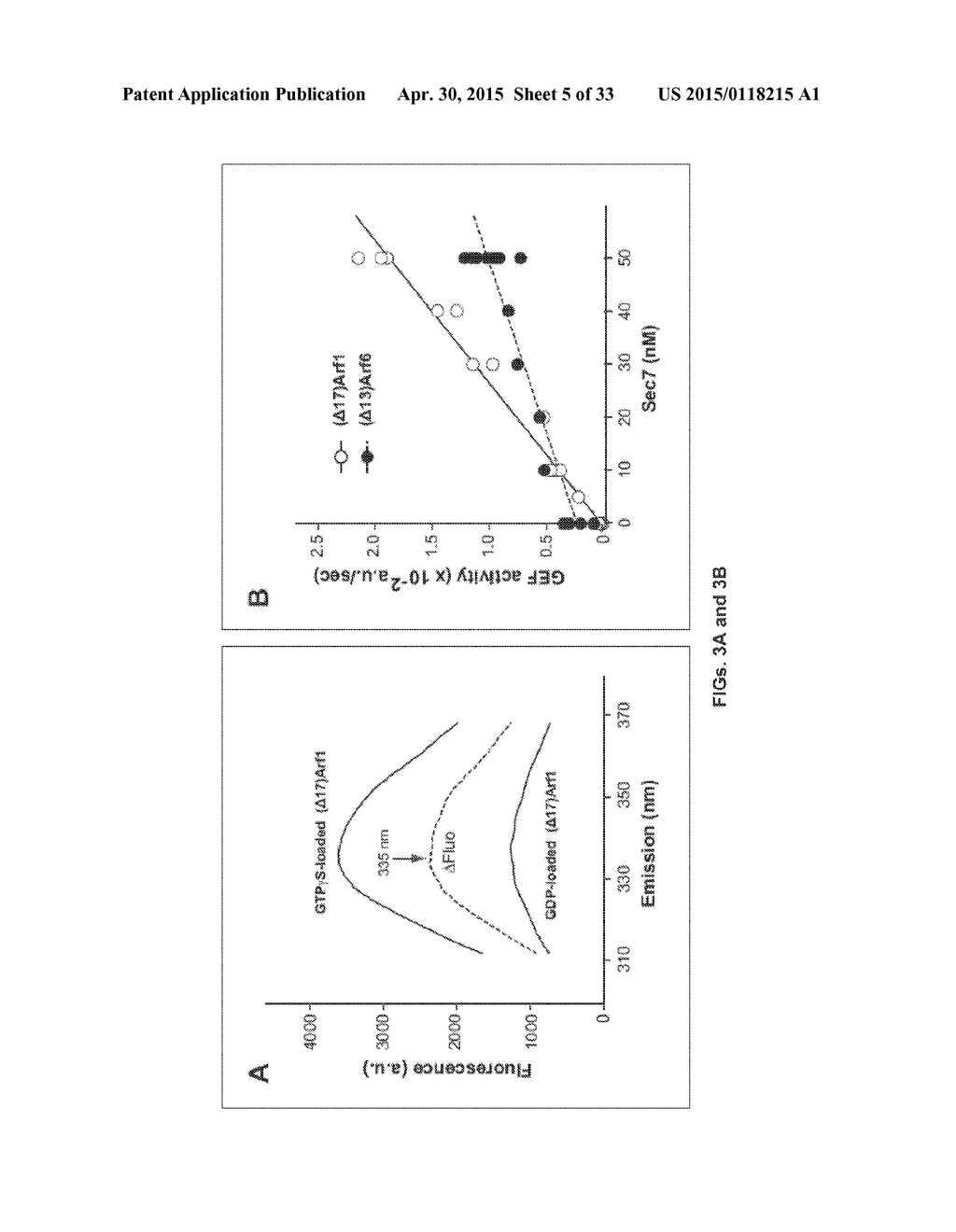 Methods of Inhibiting Cell Proliferation - diagram, schematic, and image 06