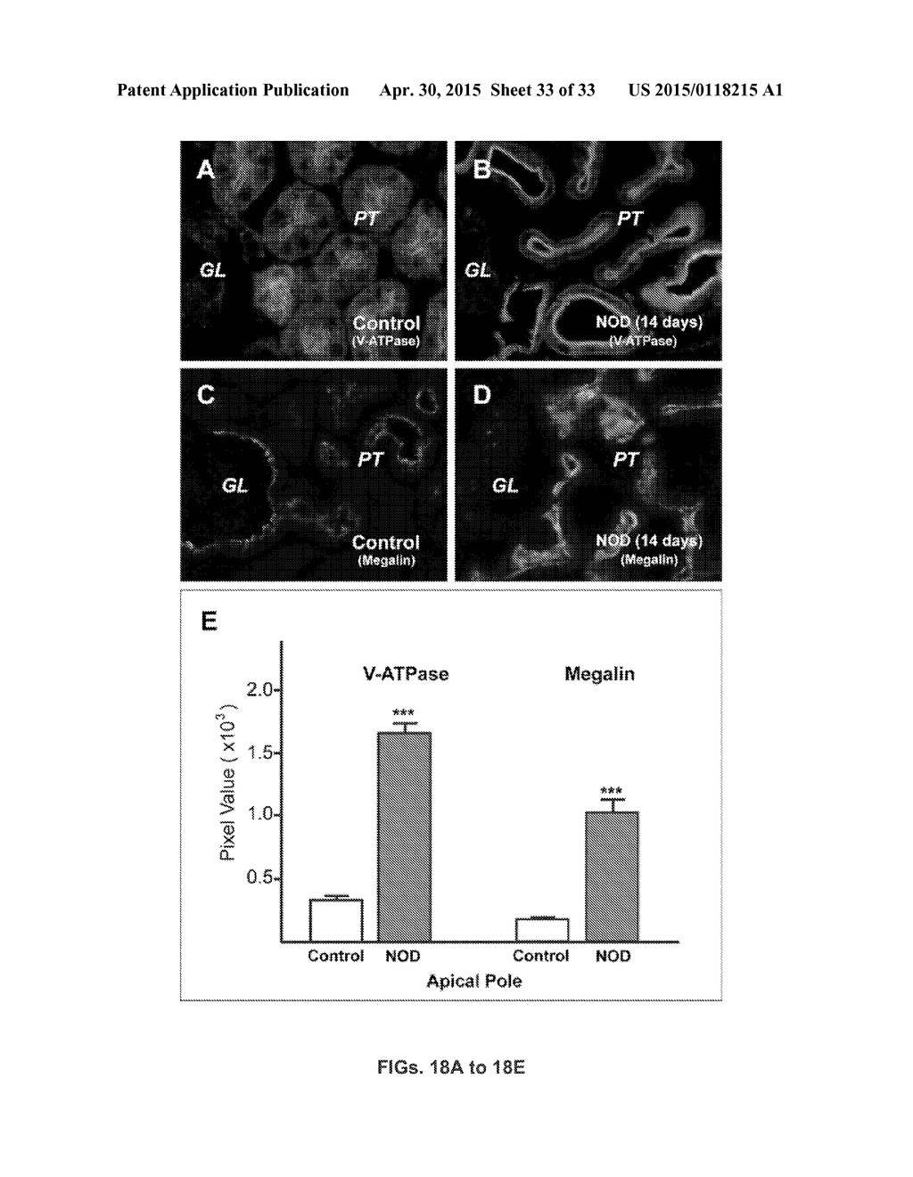 Methods of Inhibiting Cell Proliferation - diagram, schematic, and image 34