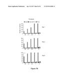 Peptide Tyrosinase Inhibitors and Uses Thereof diagram and image