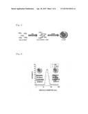 ORGANIC-INORGANIC HYBRID COMPOSITE OF POLYMERIZED NITROXIDE COMPOUND AND     INORGANIC PARTICLES diagram and image