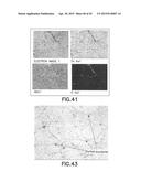 Structures Utilizing a Structured Magnetic Material and Methods for Making diagram and image