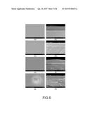 Semicrystalline Polymer/ Graphene oxide composite Film And Method For     Fabricating The Same diagram and image