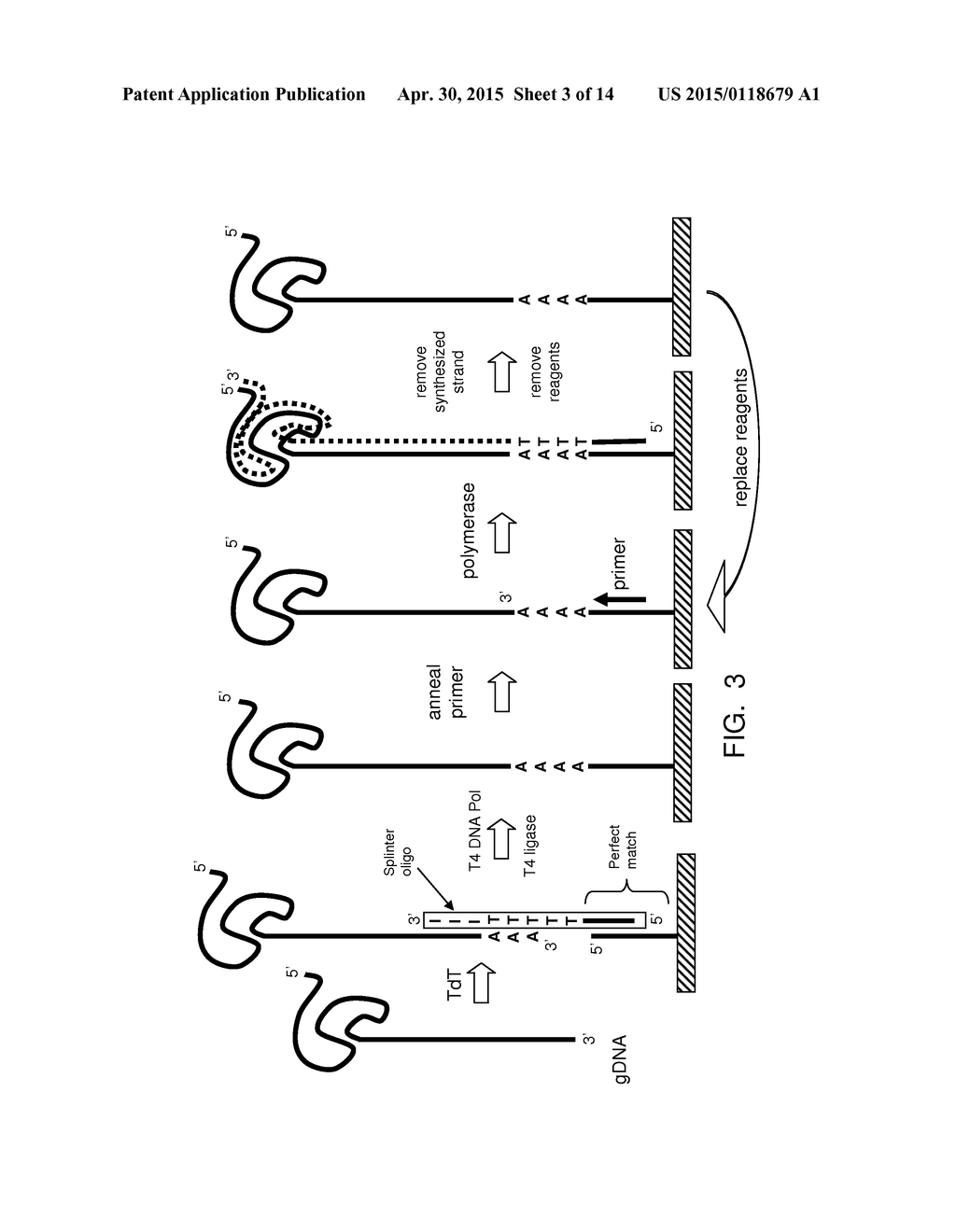 METHODS AND APPARATUS FOR SINGLE MOLECULE SEQUENCING USING ENERGY TRANSFER     DETECTION - diagram, schematic, and image 04