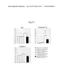 METHOD FOR SCREENING AMELIORANTS OF DRY SKIN CAUSED BY ATOPIC DERMATITIS     USING BLEOMYCIN HYDROLASE ACTIVITY AS INDICATOR diagram and image