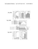 METHOD FOR SCREENING AMELIORANTS OF DRY SKIN CAUSED BY ATOPIC DERMATITIS     USING BLEOMYCIN HYDROLASE ACTIVITY AS INDICATOR diagram and image